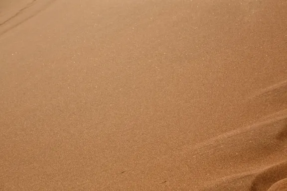 Καζίνο Μπινγκο Μιλλιοναιρε Υποστηριξη